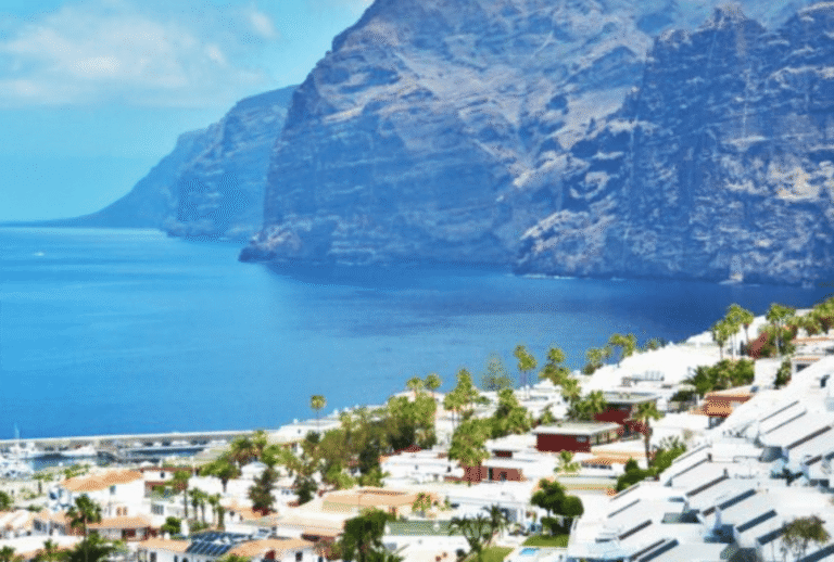 Untitled design - 2026-01-12T153427