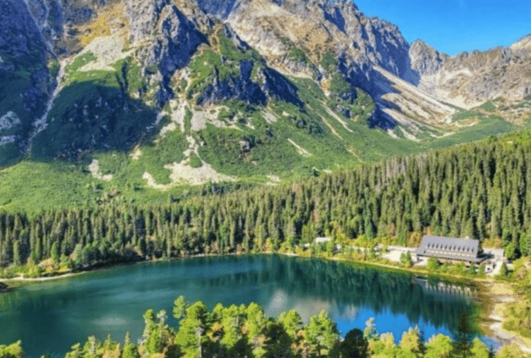 Untitled design - 2026-01-12T153652