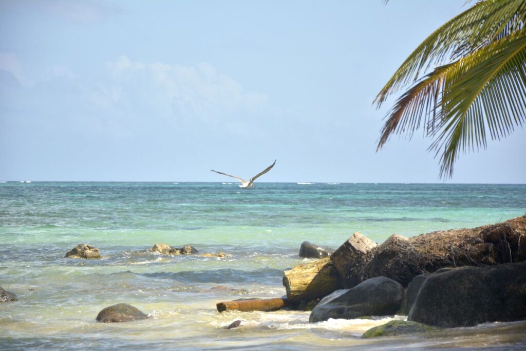 Travel guide to Little Corn island