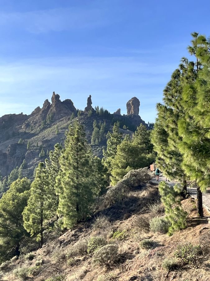 Hiking Pico de las Nieves in Gran Canaria.