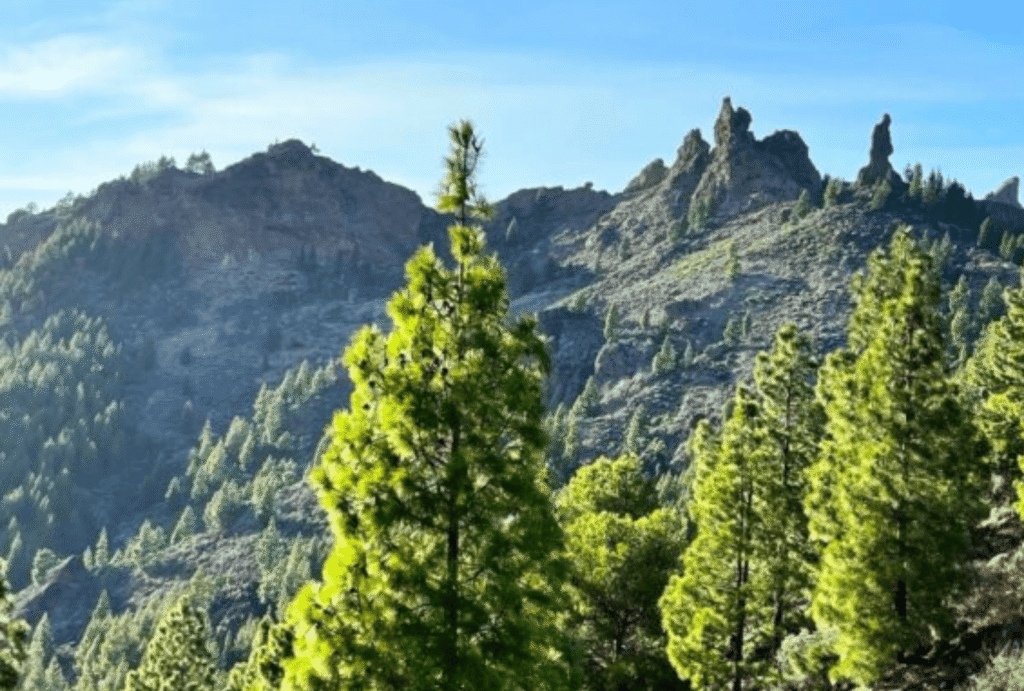 Hiking Pico de las Nieves