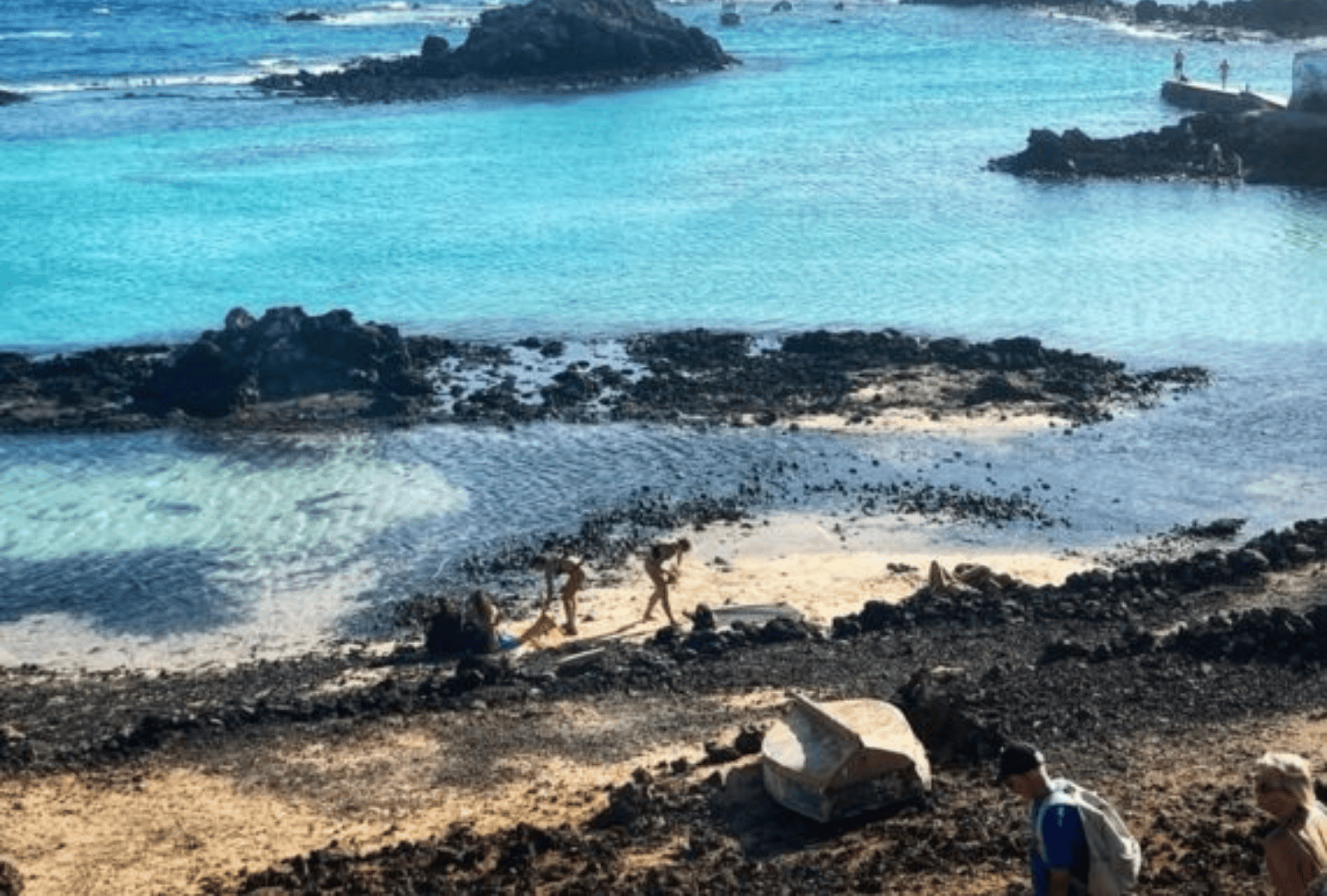 Untitled design - 2026-01-12T152554