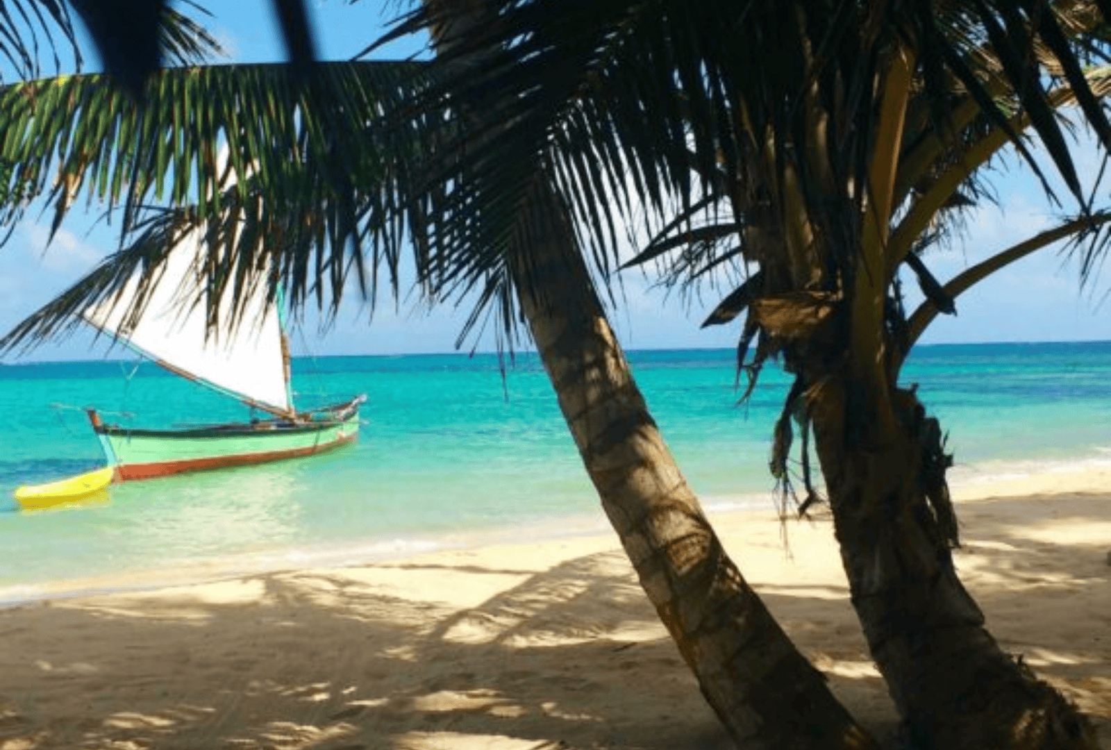 Untitled design - 2026-01-12T152848