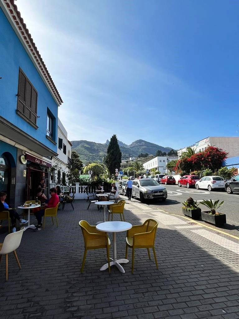 Hiking Pico de las Nieves the highest peak of Gran Canaria.