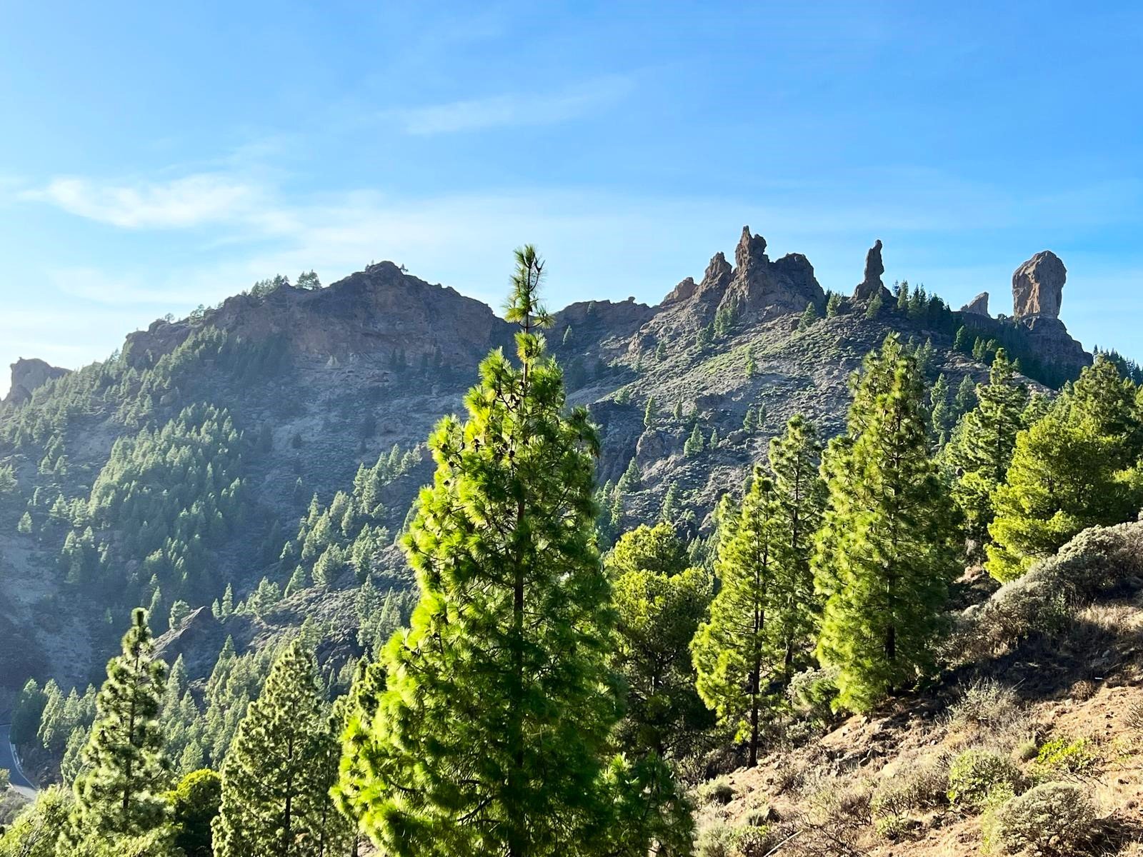 Hiking Pico de las Nieves the highest peak of Gran Canaria.