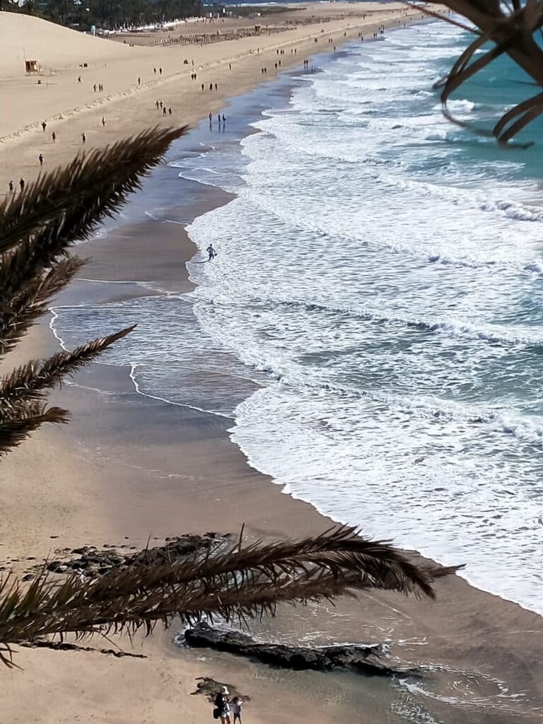 Fuerteventura Morro Jable - Things to do in Morro Jable the best place to stay in Fuerteventura.