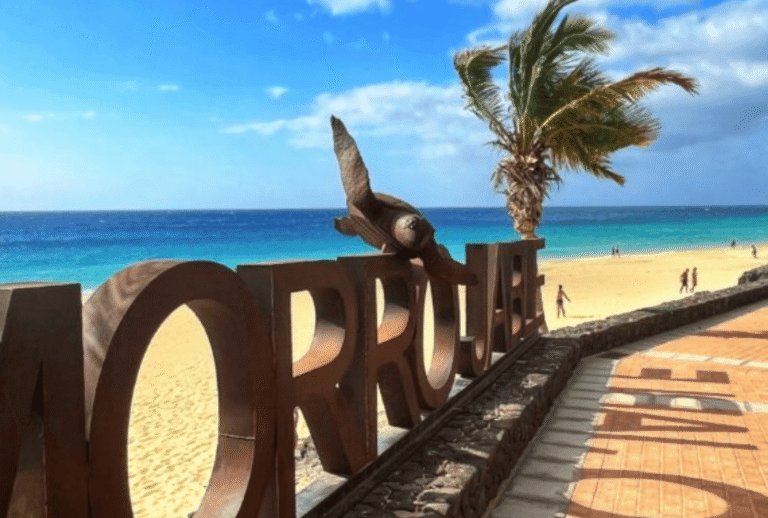 Untitled design - 2026-01-12T151026