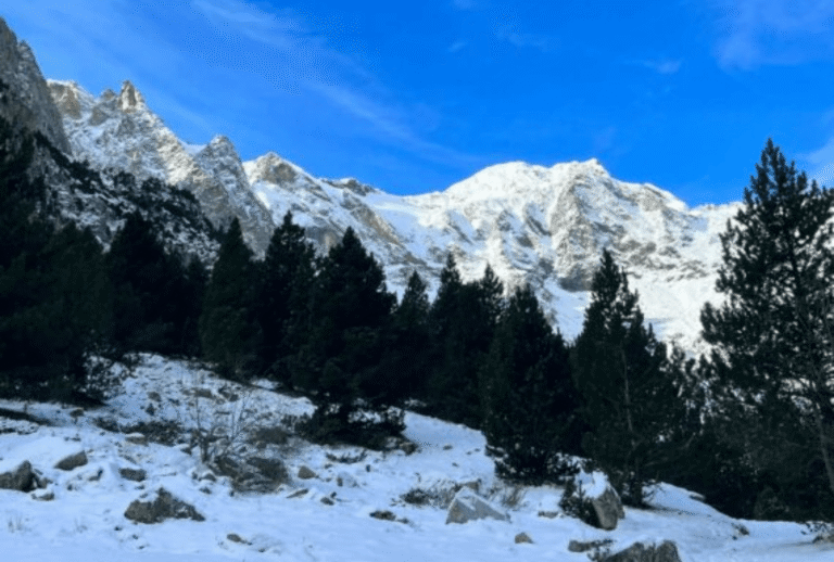 Untitled design - 2026-01-12T151314