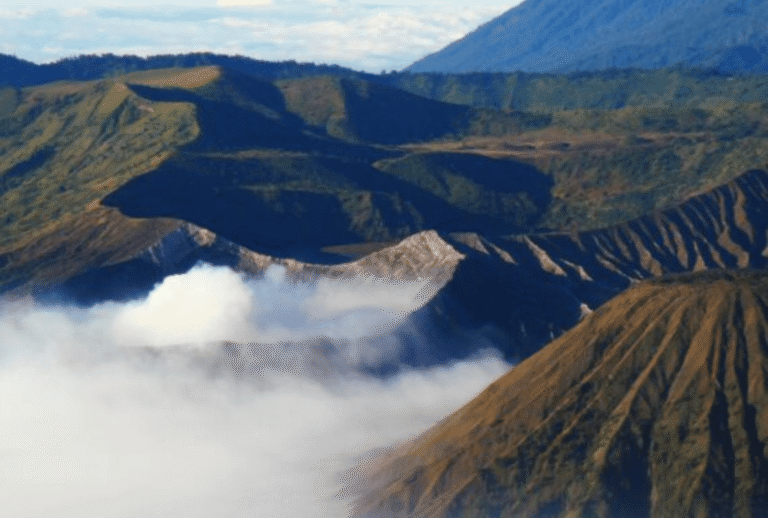 Untitled design - 2026-01-12T145753