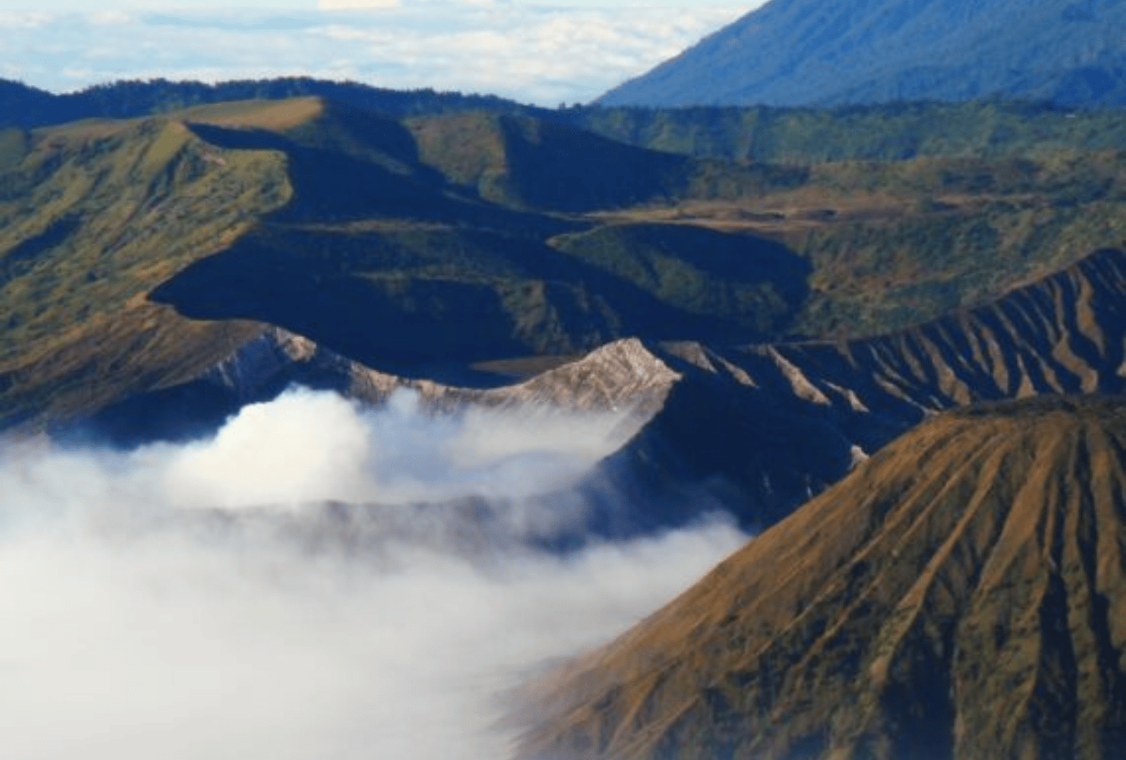 Untitled design - 2026-01-12T145753