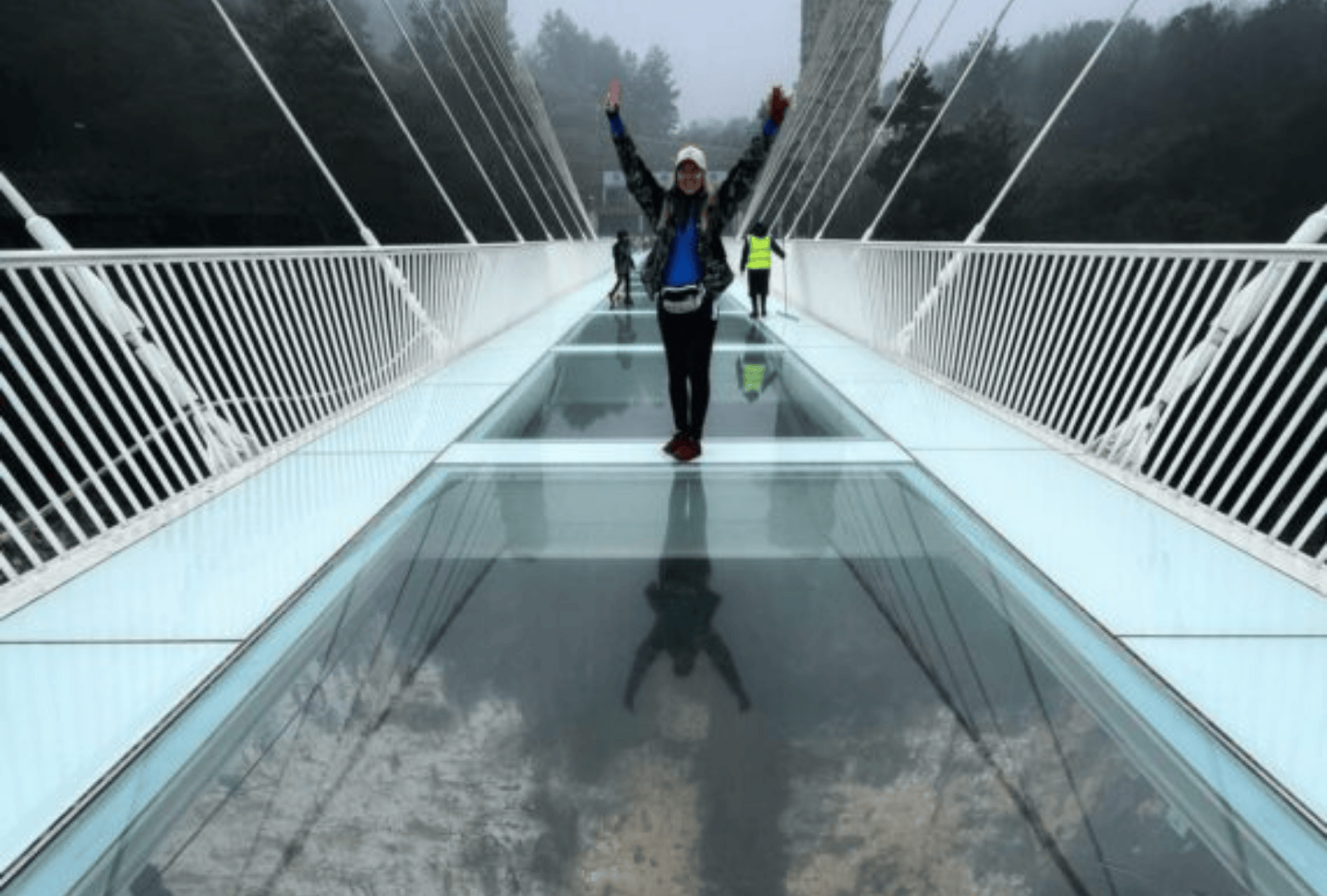 Untitled design - 2026-01-12T144058