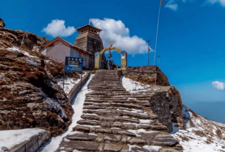 Untitled design - 2026-01-12T144823