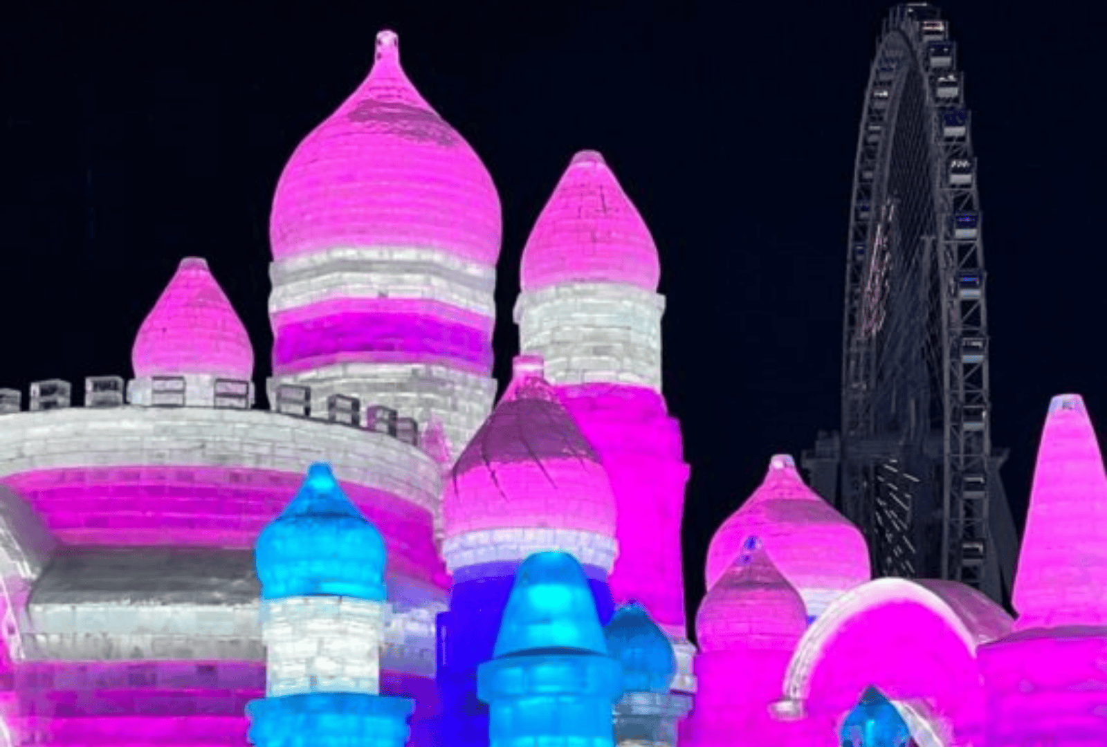 Untitled design - 2026-01-13T131229