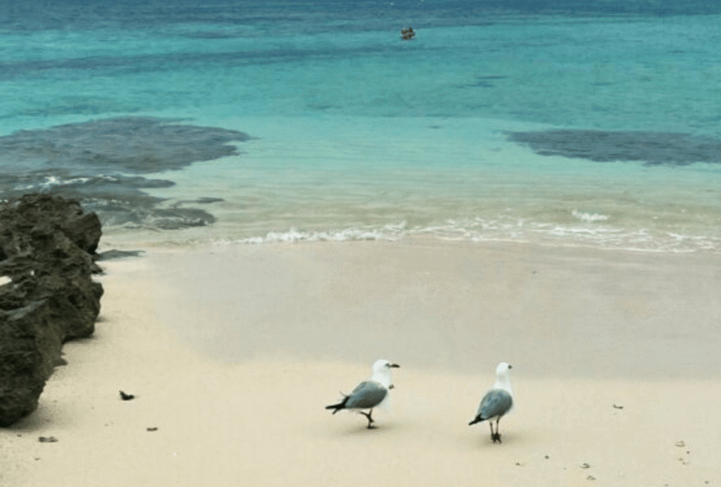 Island hopping in New Caledonia