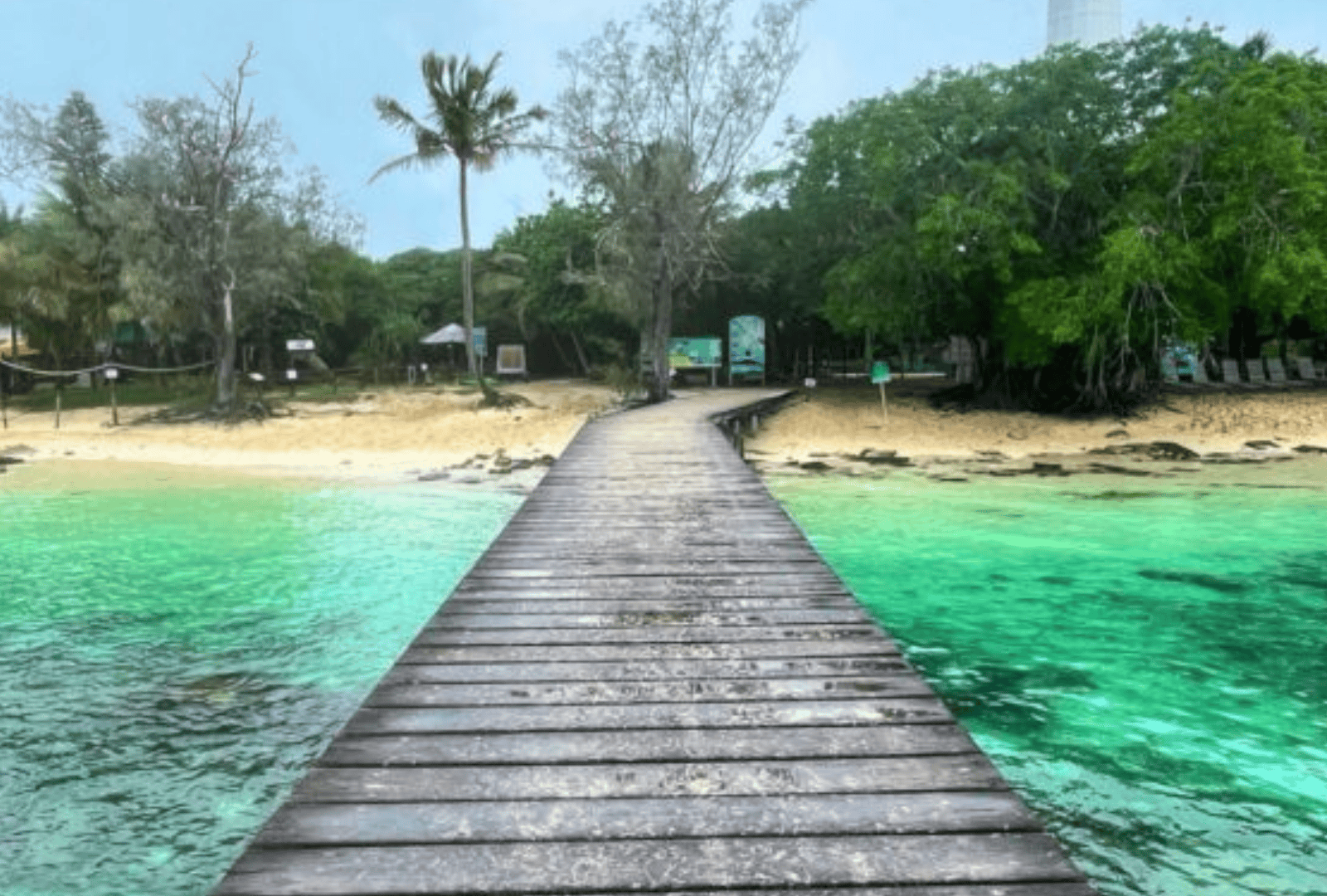 Untitled design - 2026-01-12T142354