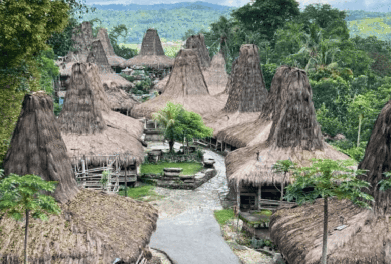 Untitled design - 2026-01-12T142620