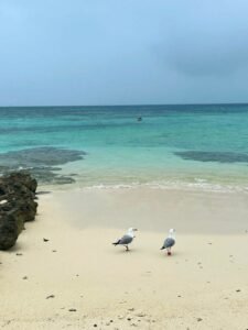 Tropical Island hooping in New Caledonia – Pacific paradise only 2 hours flight from Australia.