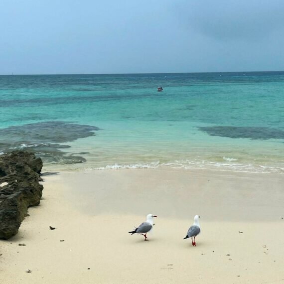 Tropical Island hooping in New Caledonia – Pacific paradise only 2 hours flight from Australia.