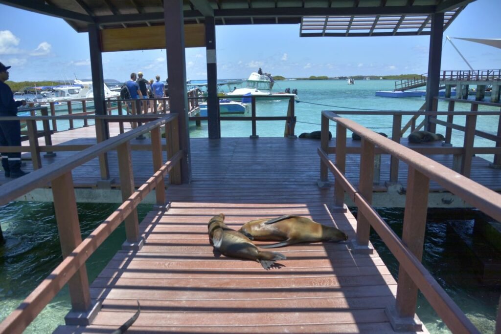 Snorkeling in Isla Isabela in the caves of Los Tuneles.