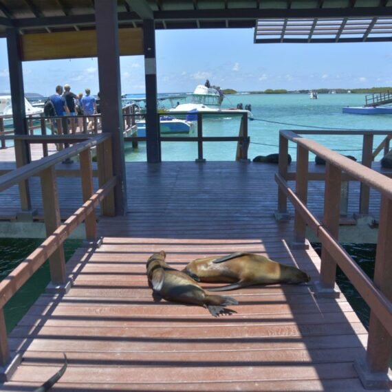 Snorkeling in Isla Isabela in the caves of Los Tuneles.