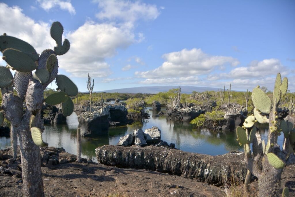 Snorkeling in Isla Isabela in the caves of Los Tuneles.