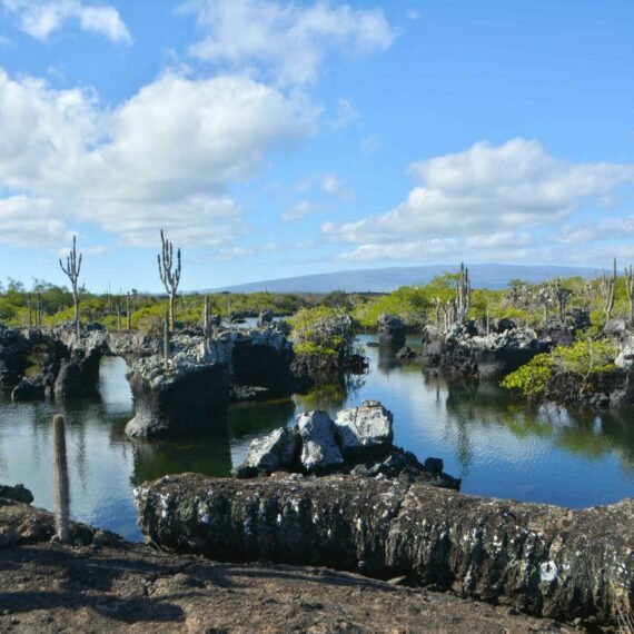 Snorkeling in Isla Isabela in the caves of Los Tuneles.