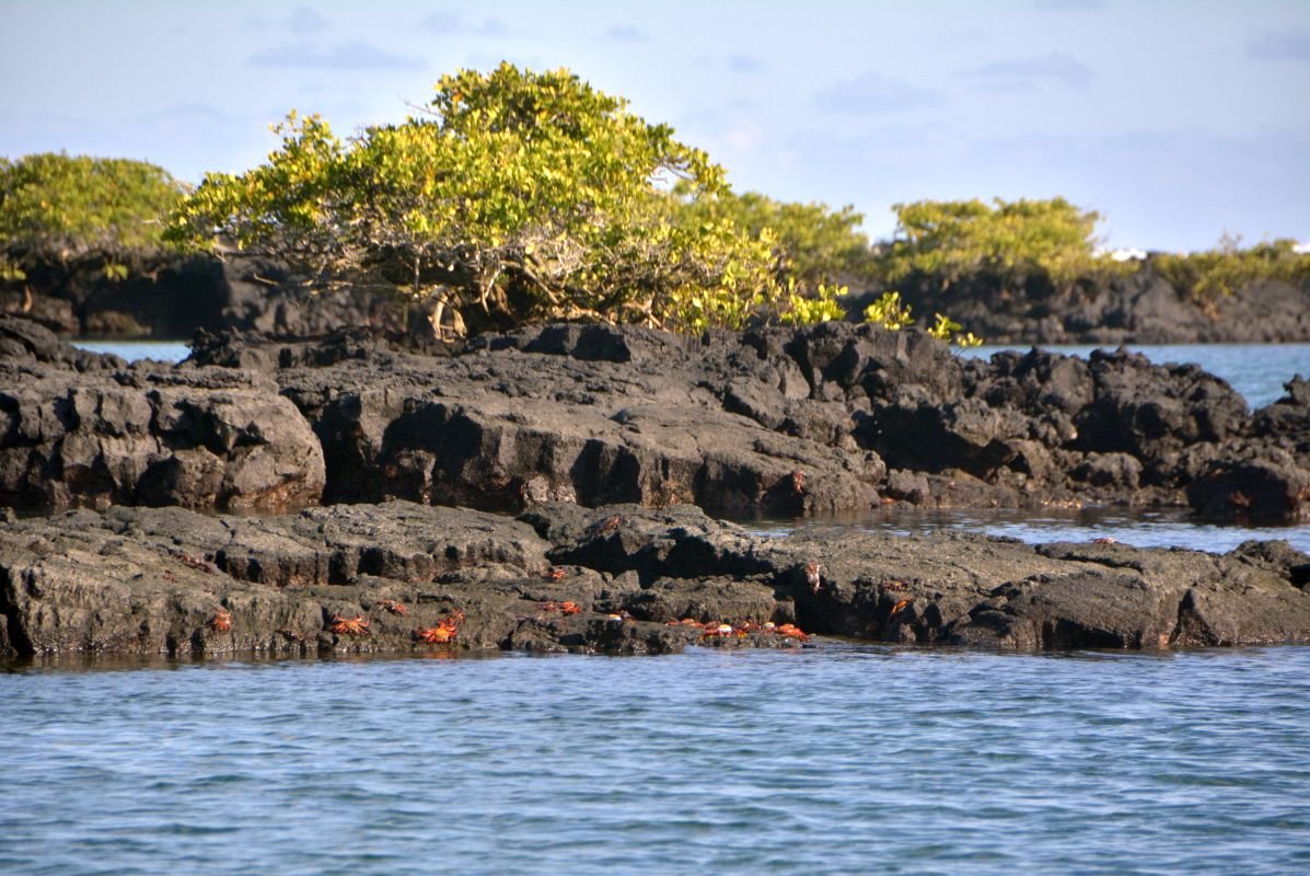 Snorkeling in Isla Isabela in the caves of Los Tuneles.
