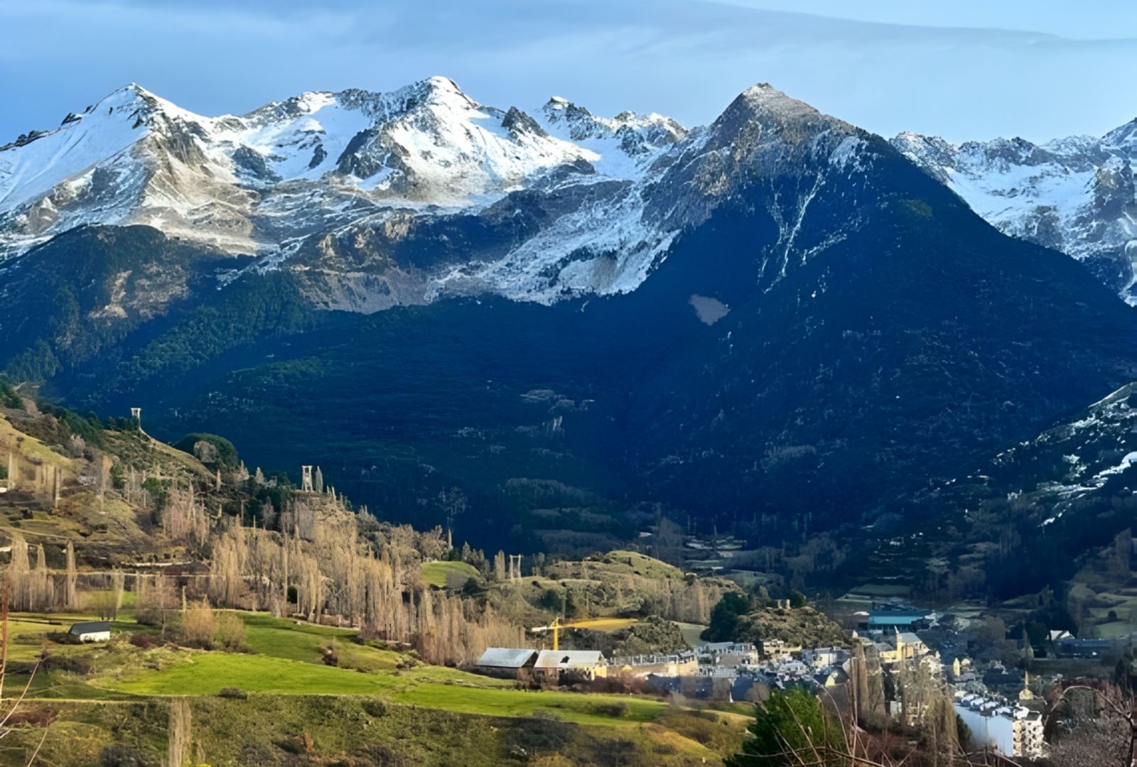 Untitled design (40)