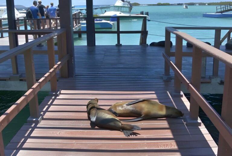 Untitled design (41)