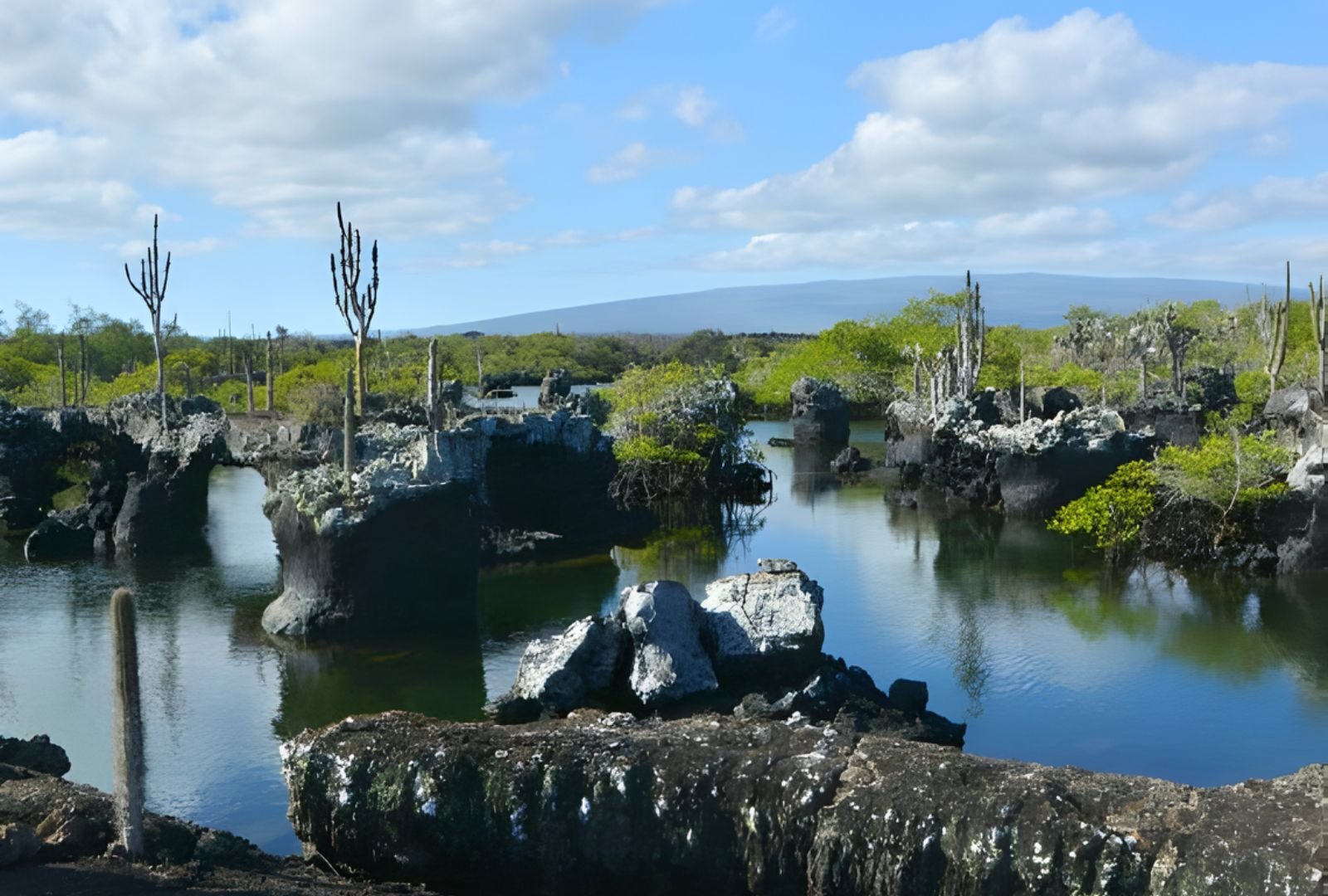 Untitled design (42)