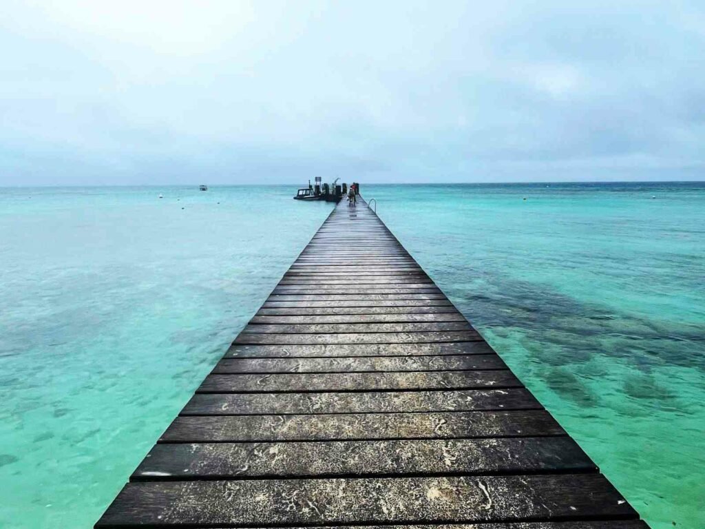 Escape to tropical paradise of New Caledonia – What to do in Amedee Island, the snake island.