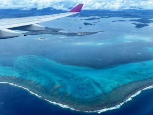 Fantastic snorkeling in New Caledonia Barrier Reef.