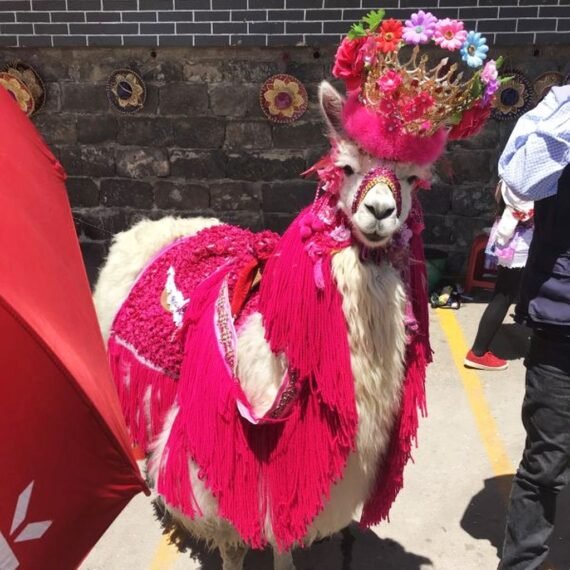 Everything you need to know on how to get from Colombia to Ecuador by land border in Ipiales.