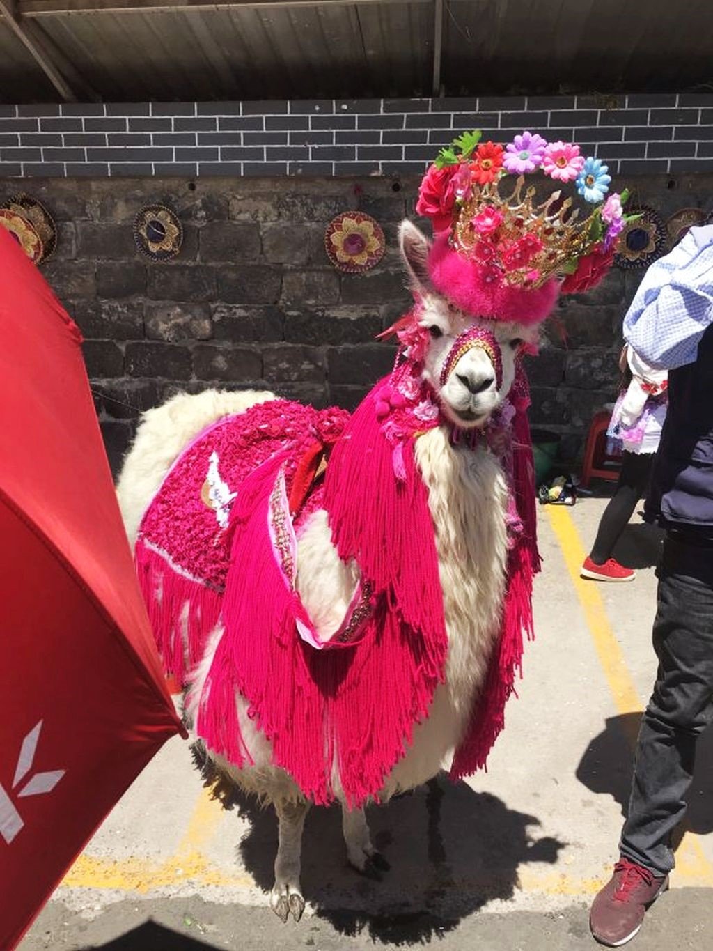 Everything you need to know about how to get from Colombia to Ecuador by land border in Ipiales.