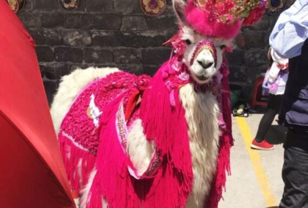 How to get from Colombia to Ecuador by land border in Ipiales.