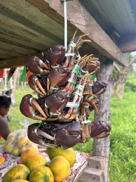 Port Vila - Magnificent things to do in Port Vila the capital of Vanuatu.