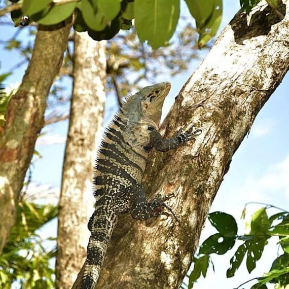 Adventurous itinerary for Costa Rica.