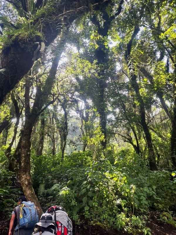 Acatenango Volcano hike difficulty & watching Fuego Volcano eruption.