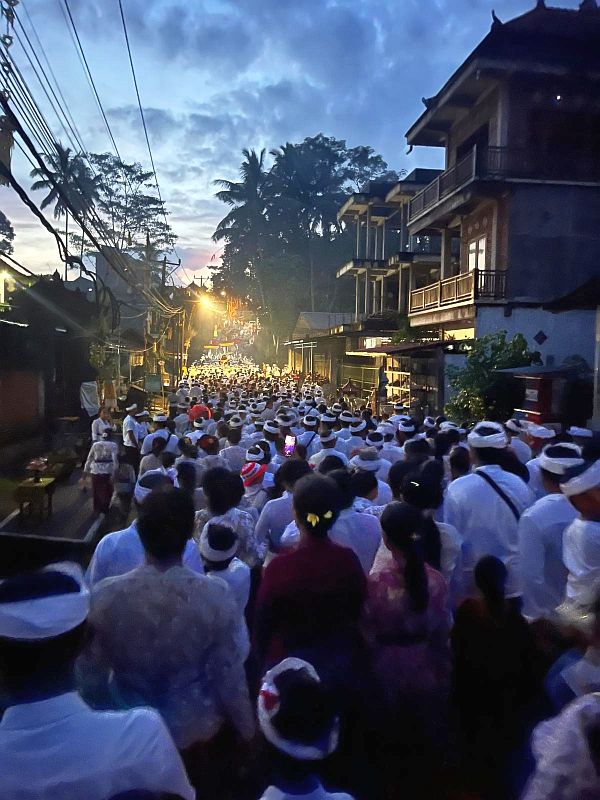 Things to do in Ubud