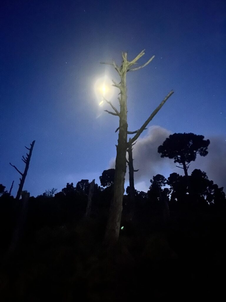 Volcan Acatenango Hike