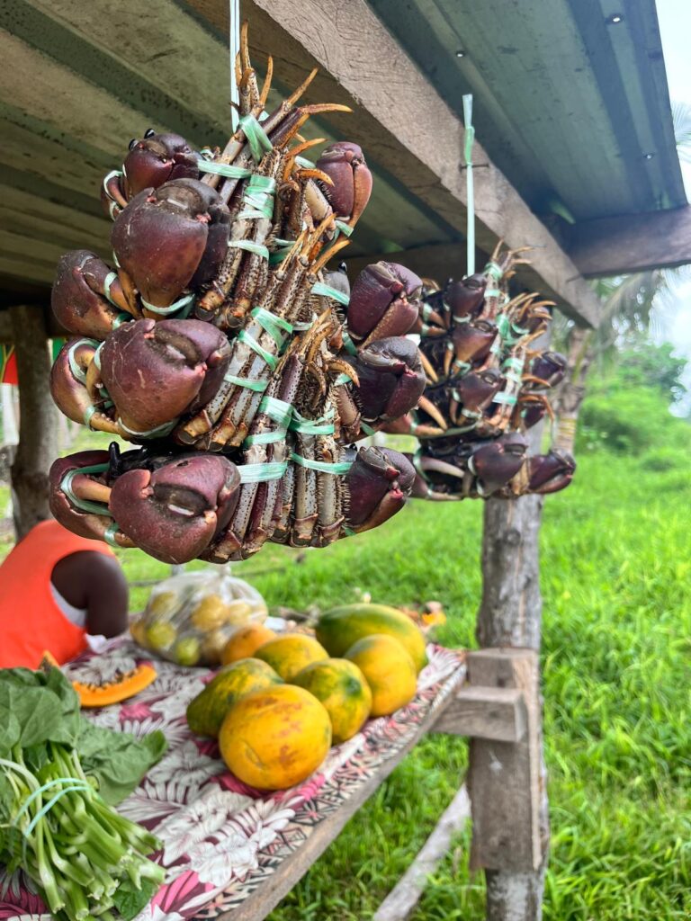 top things to do in Vanuatu