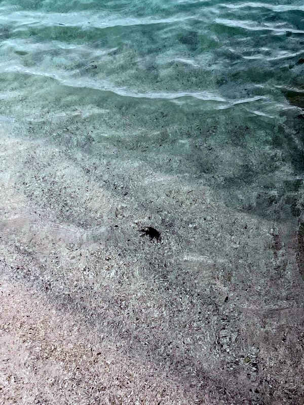 Gjipe Beach - the most breathtaking beaches of Albania.