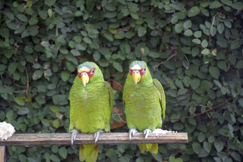 The best time to visit Costa Rica - Manuel Antonion Park.