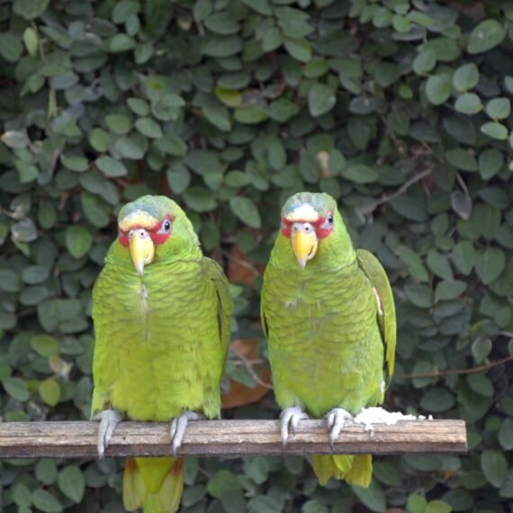 The best time to visit Costa Rica - Manuel Antonion Park.