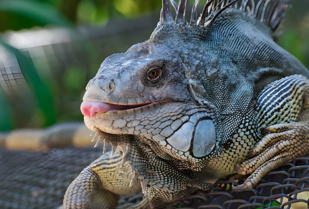 The best hikes in Costa Rica.