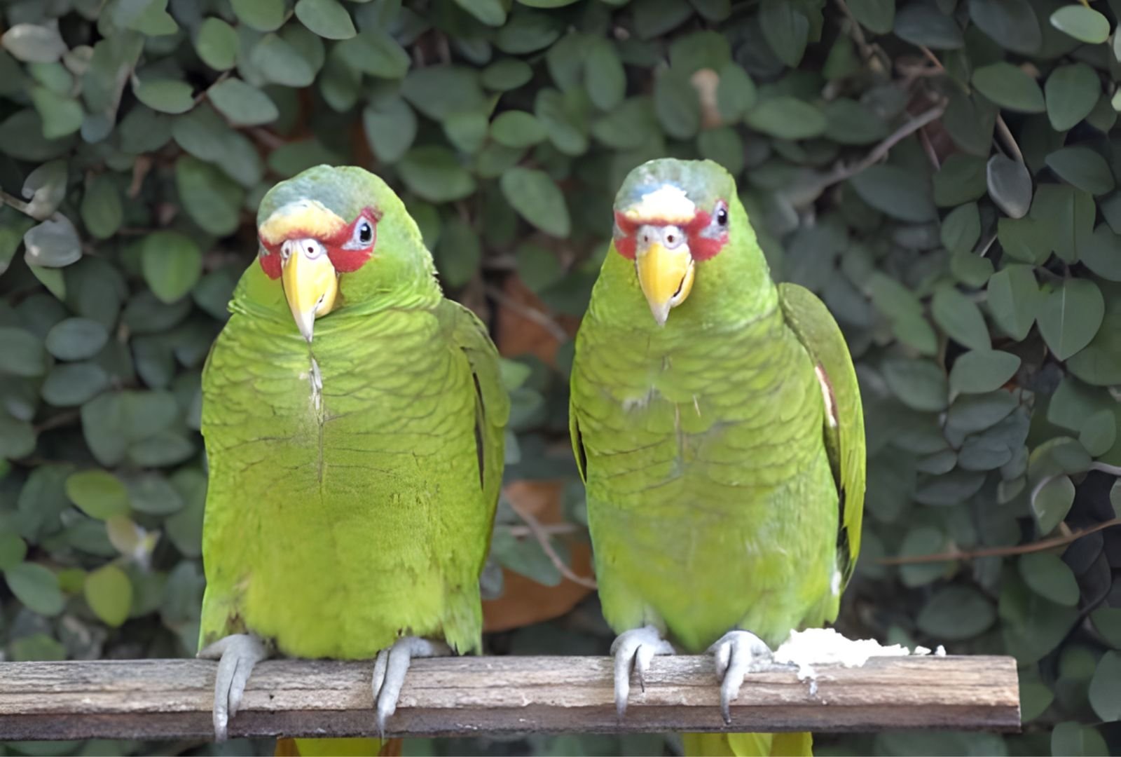 Untitled design (30)