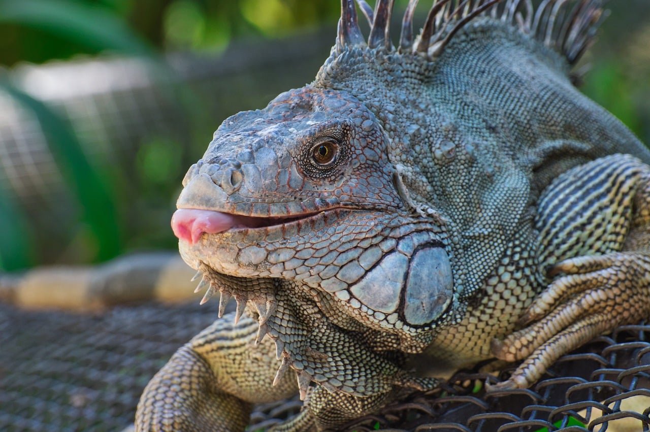 Best hikes in Costa Rica - Manuel Antonio National Park.