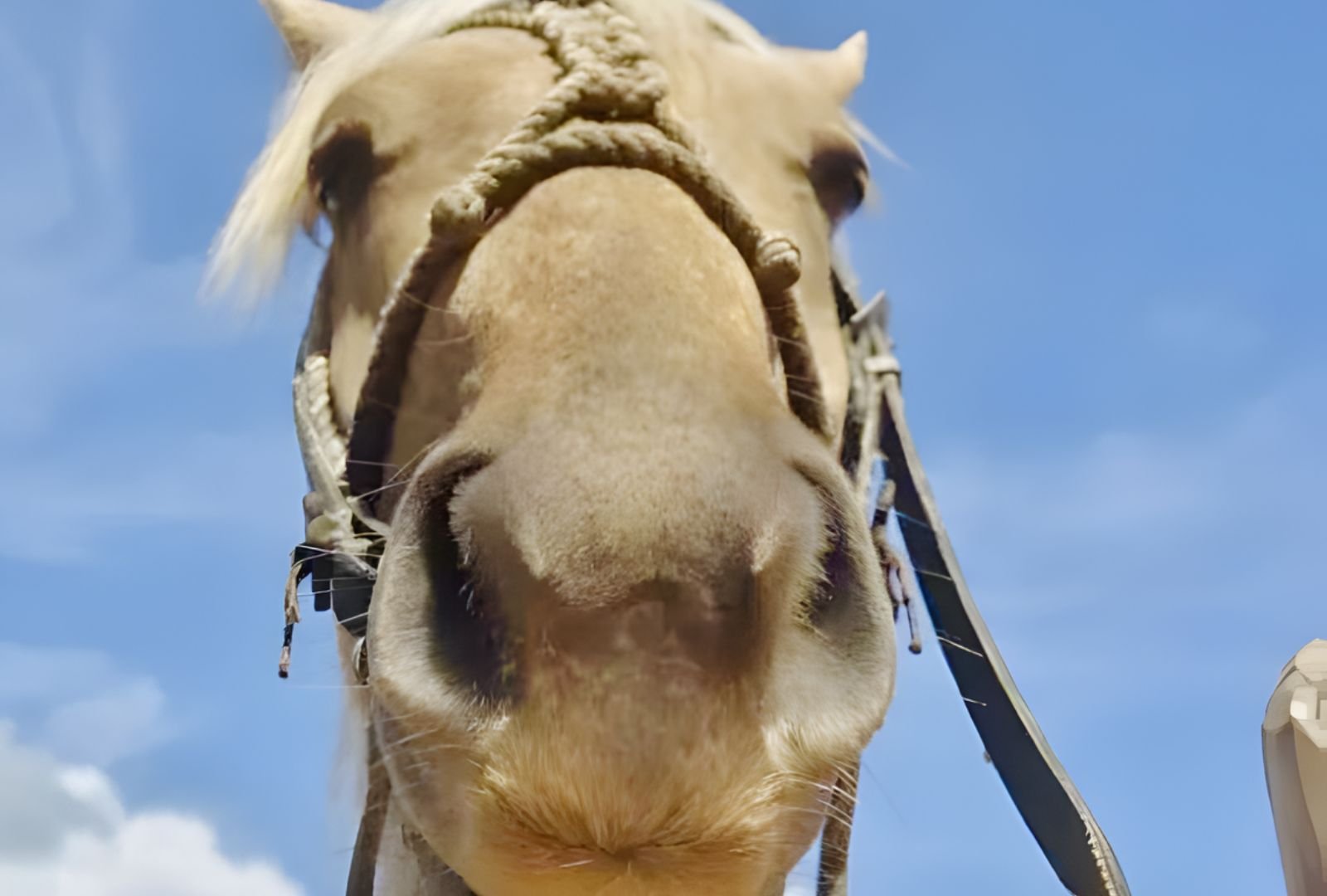 Untitled design (23)