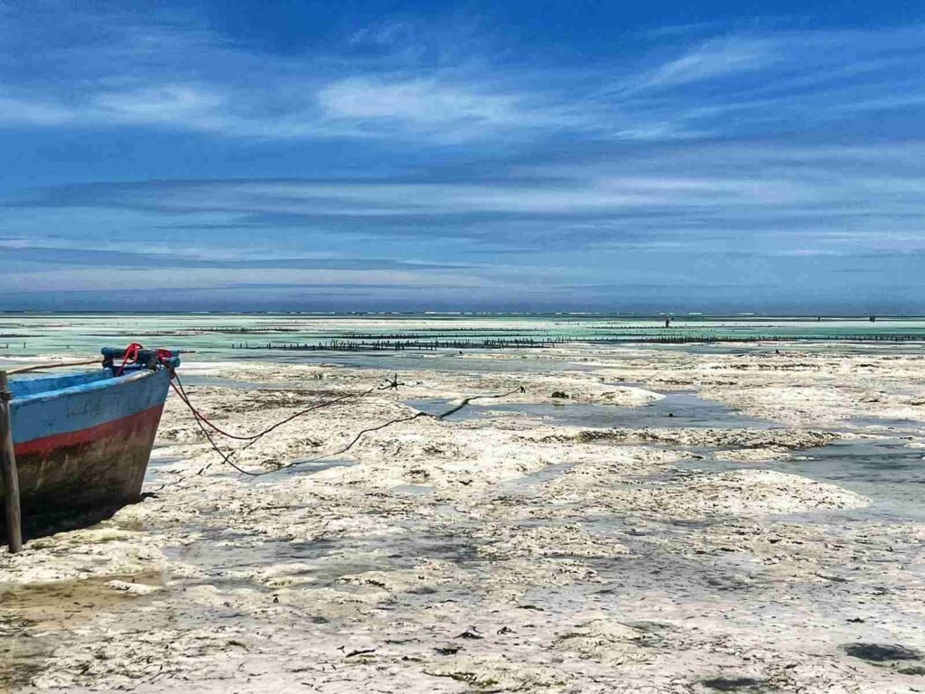 The best Zanzibar itinerary - Paje