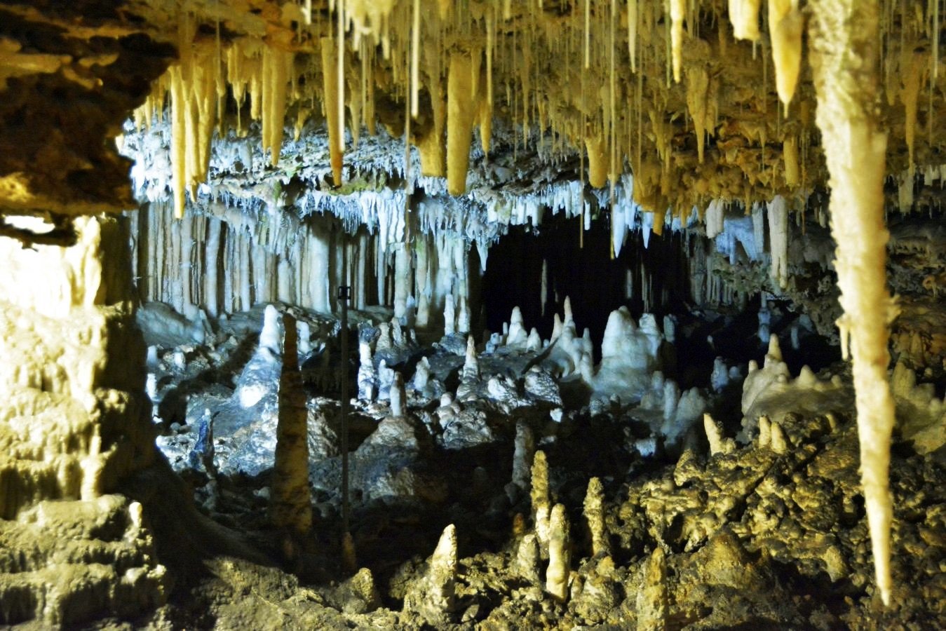 Fantasy Cave - Bermuda Travel Guide